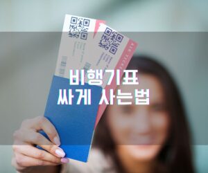 비행기표싸게사는법