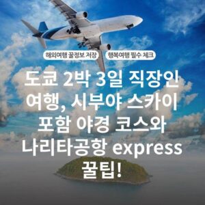 도쿄 2박 3일 직장인 여행, 시부야 스카이 포함 야경 코스와 나리타공항 express 꿀팁!