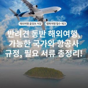 반려견 동반 해외여행, 가능한 국가와 항공사 규정, 필요 서류 총정리!