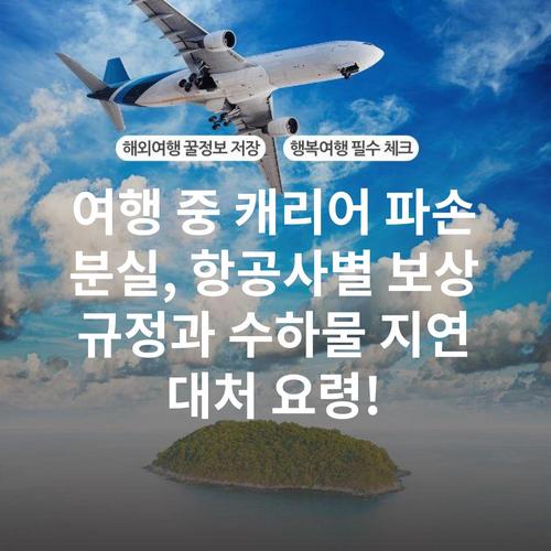여행 중 캐리어 파손 분실, 항공사별 보상 규정과 수하물 지연 대처 요령!