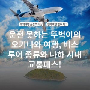 운전 못하는 뚜벅이의 오키나와 여행, 버스 투어 종류와 나하 시내 교통패스!
