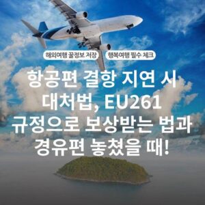 항공편 결항 지연 시 대처법, EU261 규정으로 보상받는 법과 경유편 놓쳤을 때!